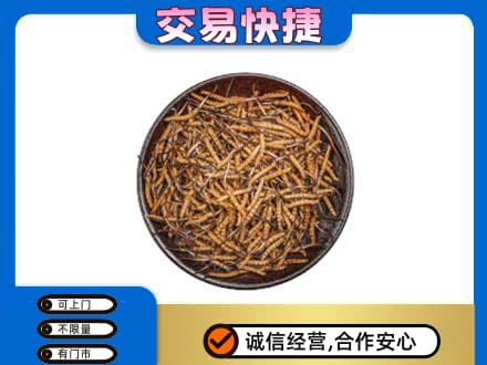 思茅高价回收散虫草